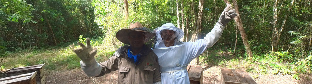 Apicultura Selva Maya